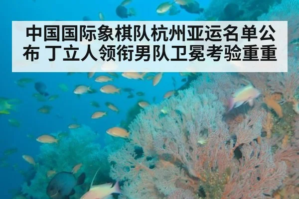 中国国际象棋队杭州亚运名单公布 丁立人领衔男队卫冕考验重重